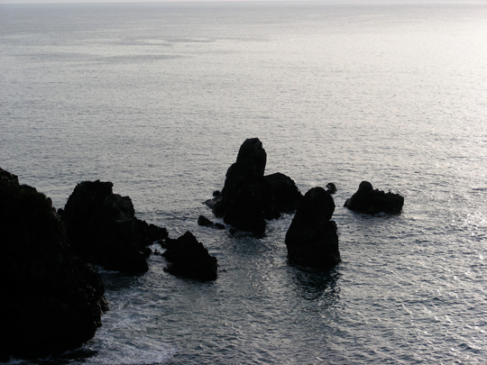 isakanohana01.jpg