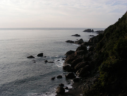 isakanohana03.jpg
