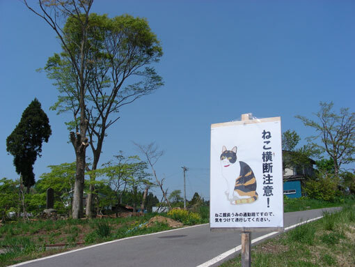 issakasiwabara12.jpg