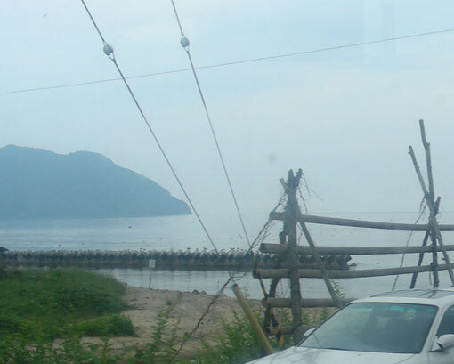 iwagahana05.jpg