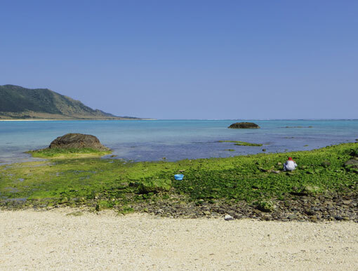 iwasaki05.jpg
