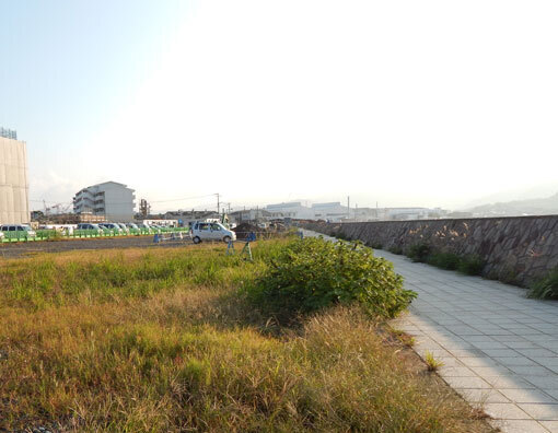 iwasakihana03.jpg
