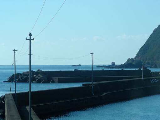 jyonomisaki07.jpg