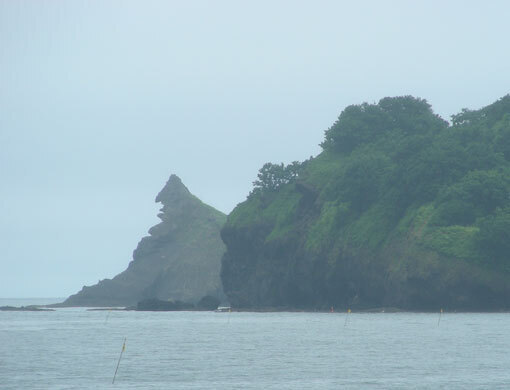 kabutom01.jpg
