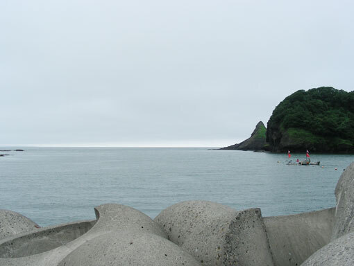 kabutom03.jpg