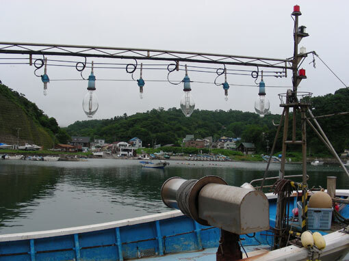 kabutom06.jpg