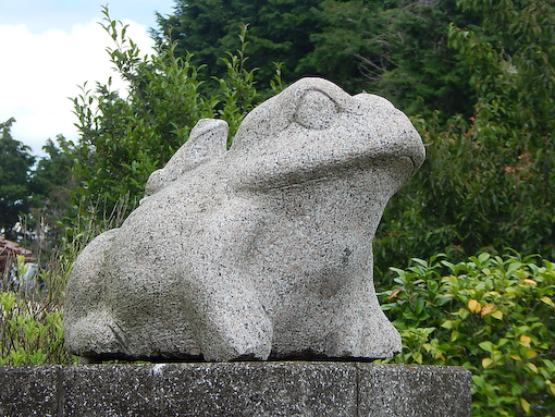 kaeru-1.jpg