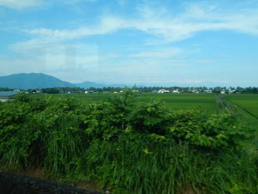 kaiduoosaki-1.jpg