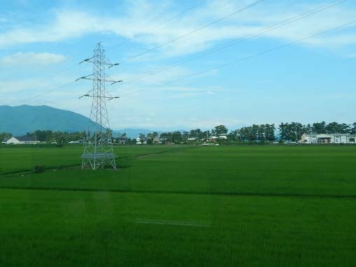 kaiduoosaki-3.jpg