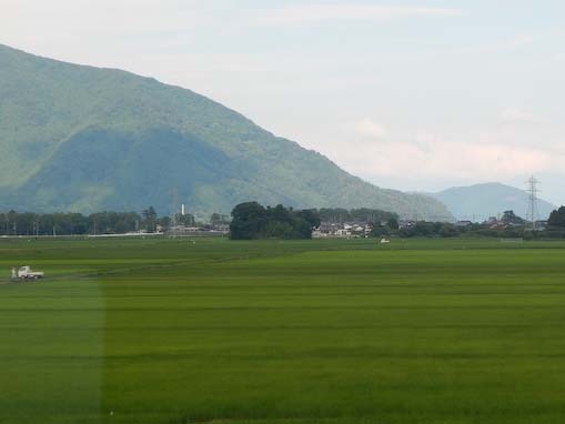 kaiduoosaki-7.jpg