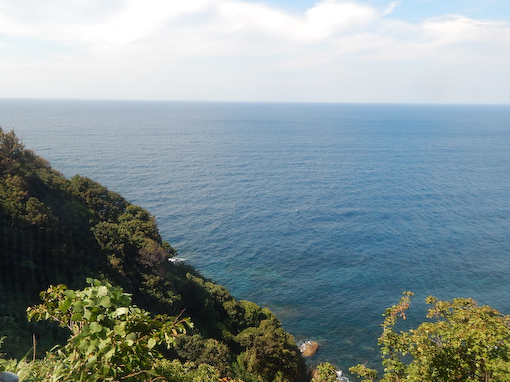 kakihana-3.jpg