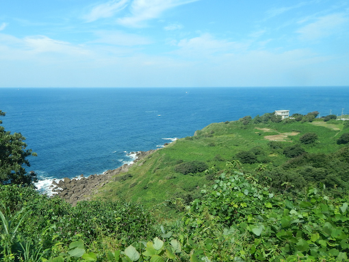 kakihana-4.jpg