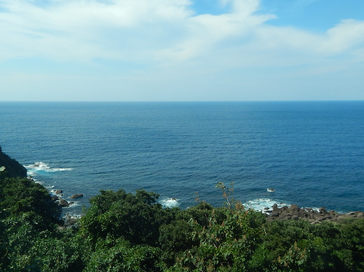 kakihana-6.jpg