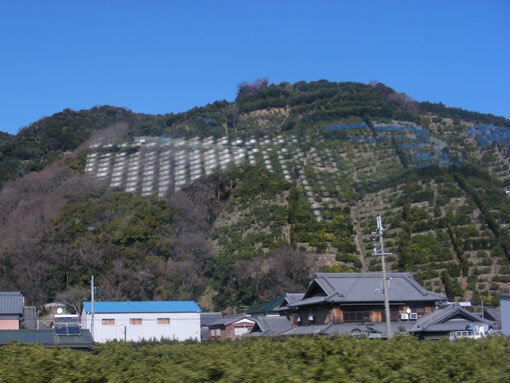 kanayamazaki06.jpg