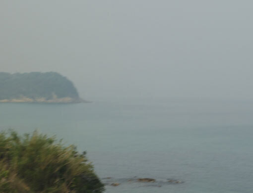 kasamatunohana01.jpg