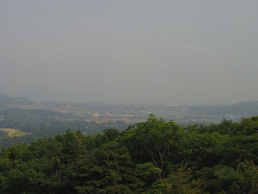 kasamatunohana04.jpg