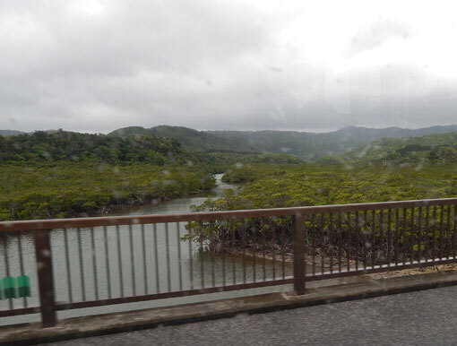 kasazaki04.jpg