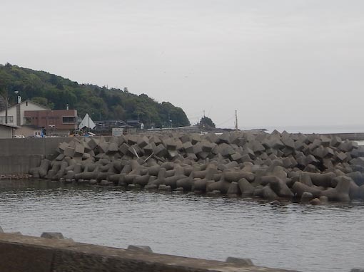 kasugazaki-7.jpg