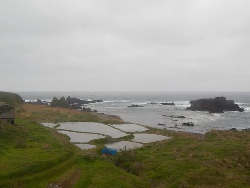 kasugazaki-8.jpg