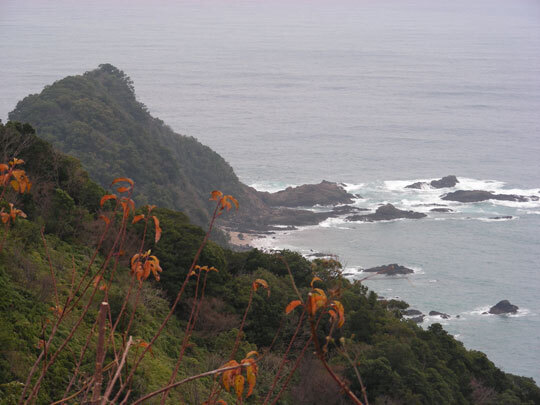 katabira03.jpg