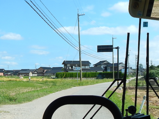 katsuo-4.jpg