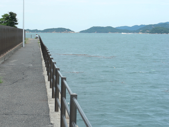 kawauso04.gif