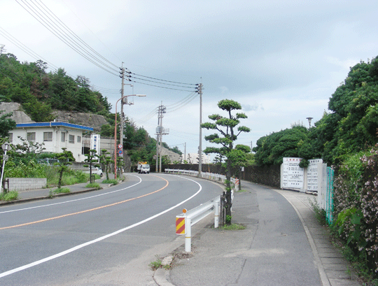 kawauso07.gif