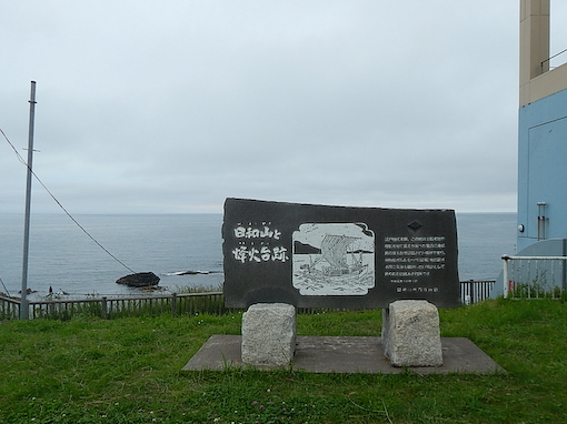 koganem-7.jpg