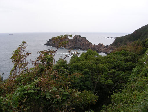 koishinohana02.jpg