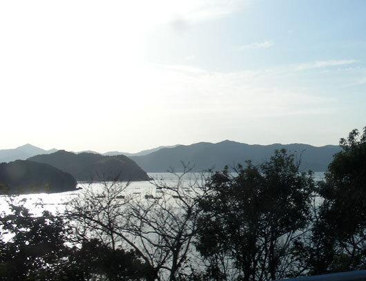 konagamisaki07.jpg