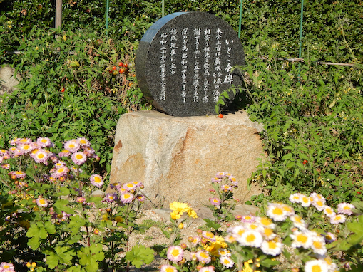 konominehana-18.jpg