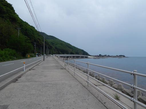 kounosehana-10.jpg