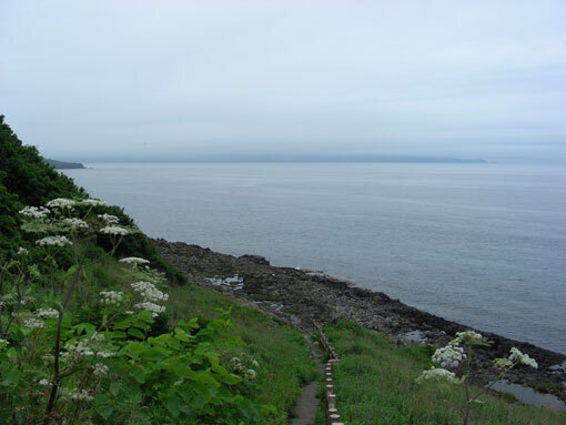kouyazaki09.jpg