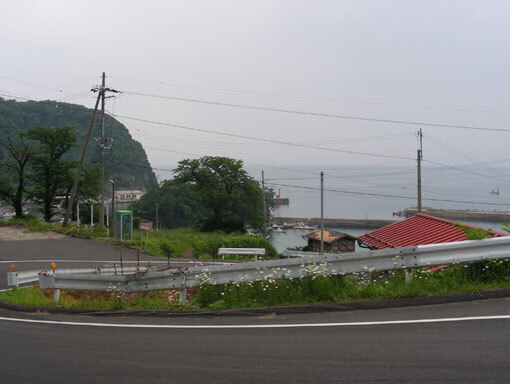 kozaki18.jpg