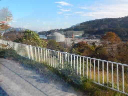 kujira-1.jpg