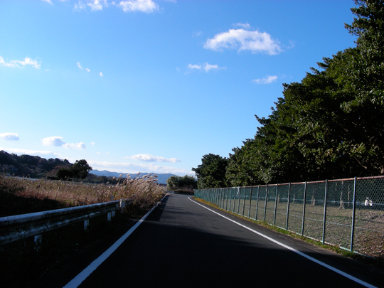 kuroiwasaki10.jpg