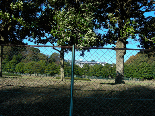 kuroiwasaki11.jpg