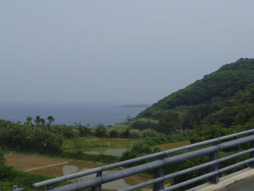 makizaki06.jpg