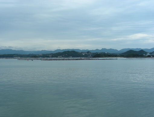 mamizaki07.jpg