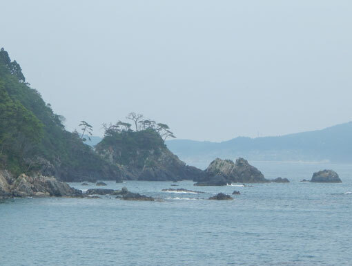 matsugahana01-05db4.jpg