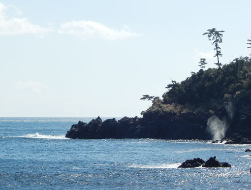 matsuzaki01.jpg