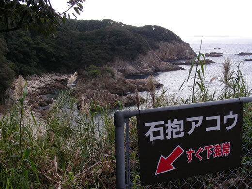 mejihana08.jpg