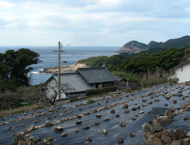 mejihana11.jpg