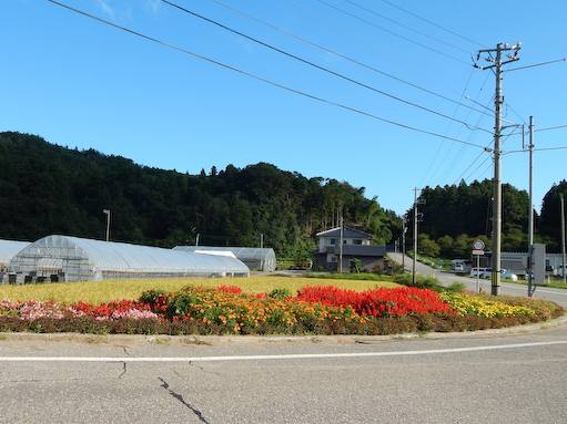 minami-2.jpg