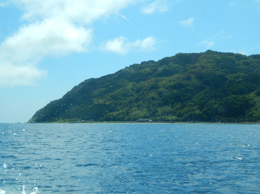 mozakihana-3.jpg