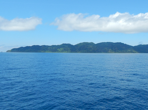 mozakihana-4.jpg