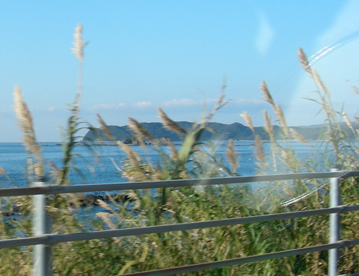myojinhana01.jpg