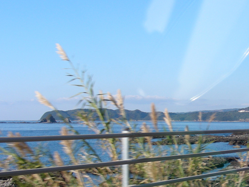myojinhana02.jpg