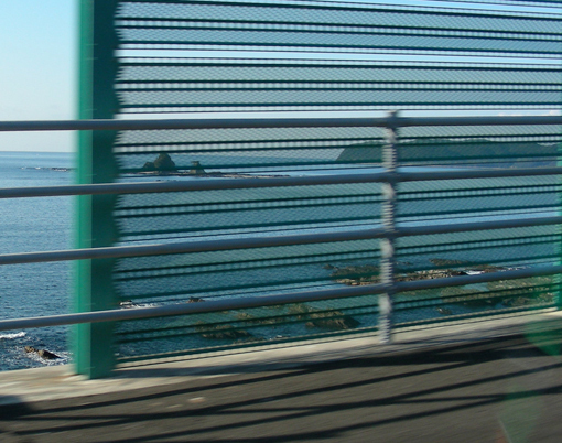 myojinhana04.jpg