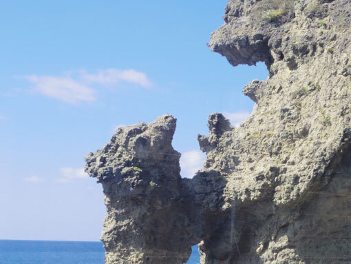 nagakuma08.jpg